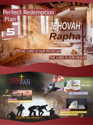 cover image of Perfect Redemption Plan 5